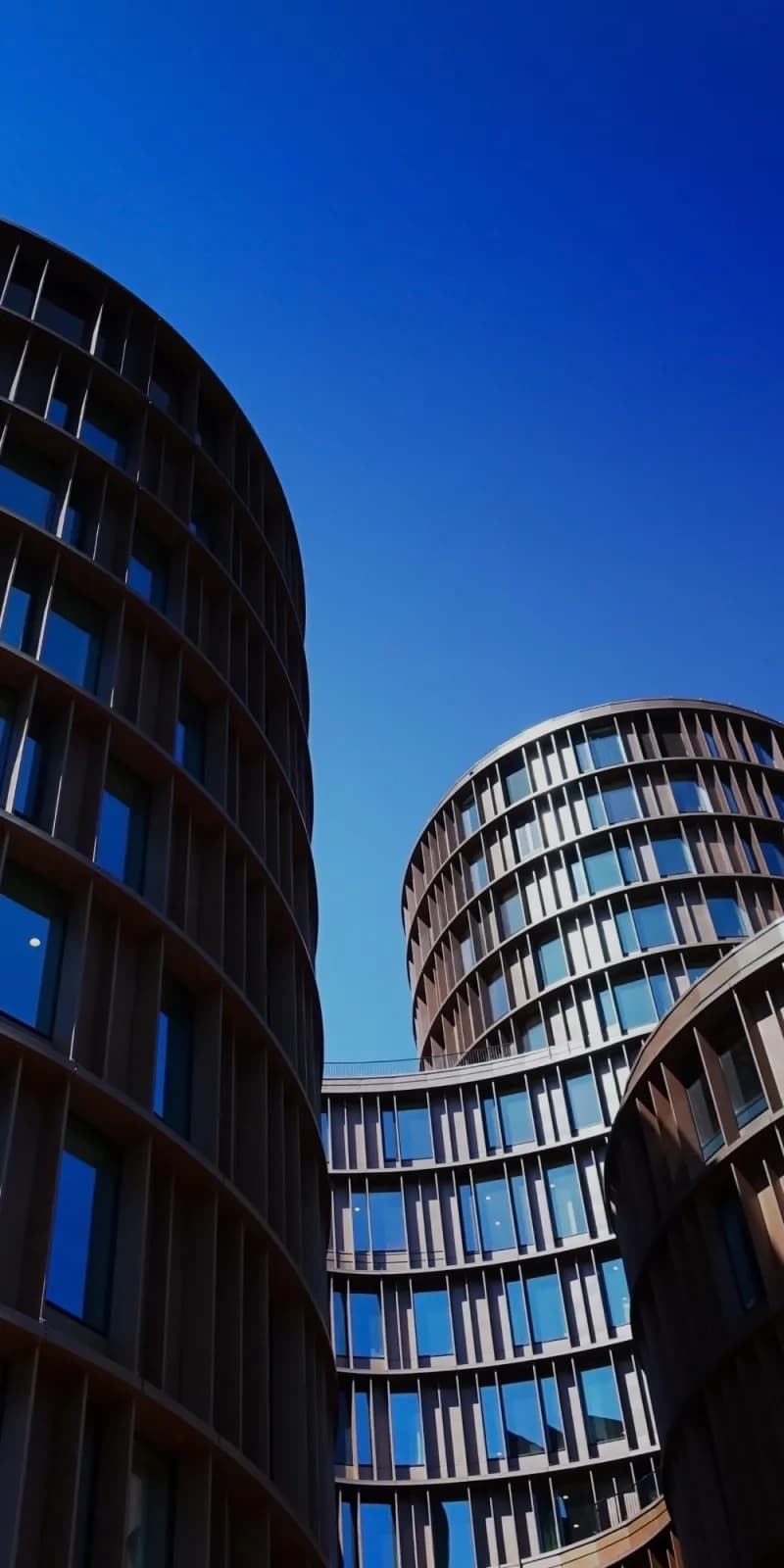 ERP software development services. Enterprise resource planning platform by Timeline Digital