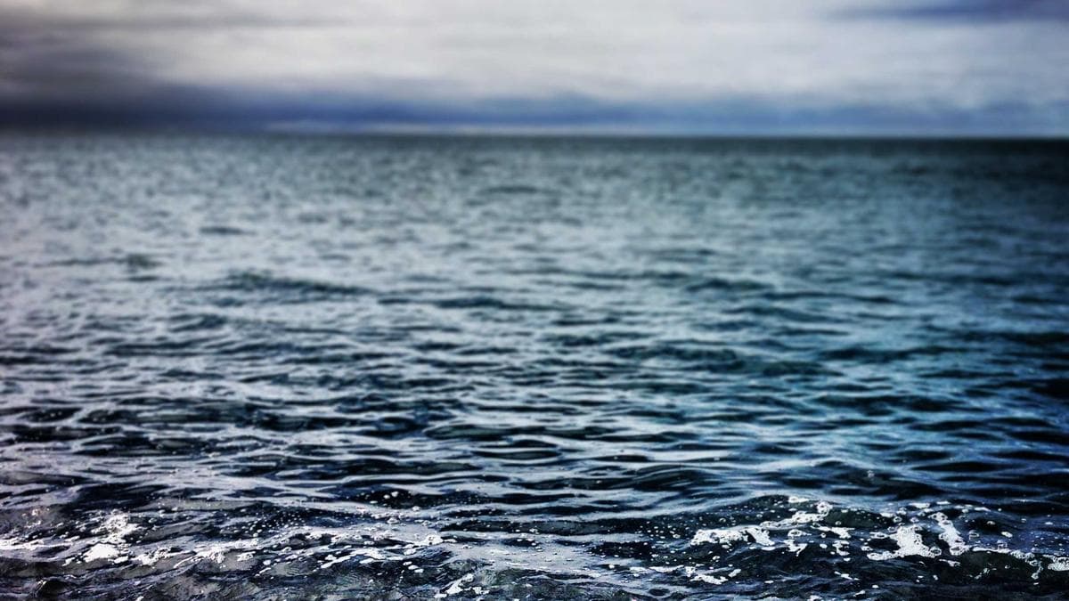 Online Learning Platform