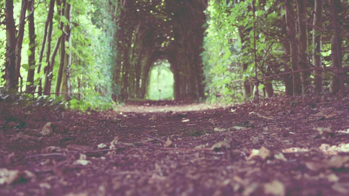 Healthcare Clinic Management App