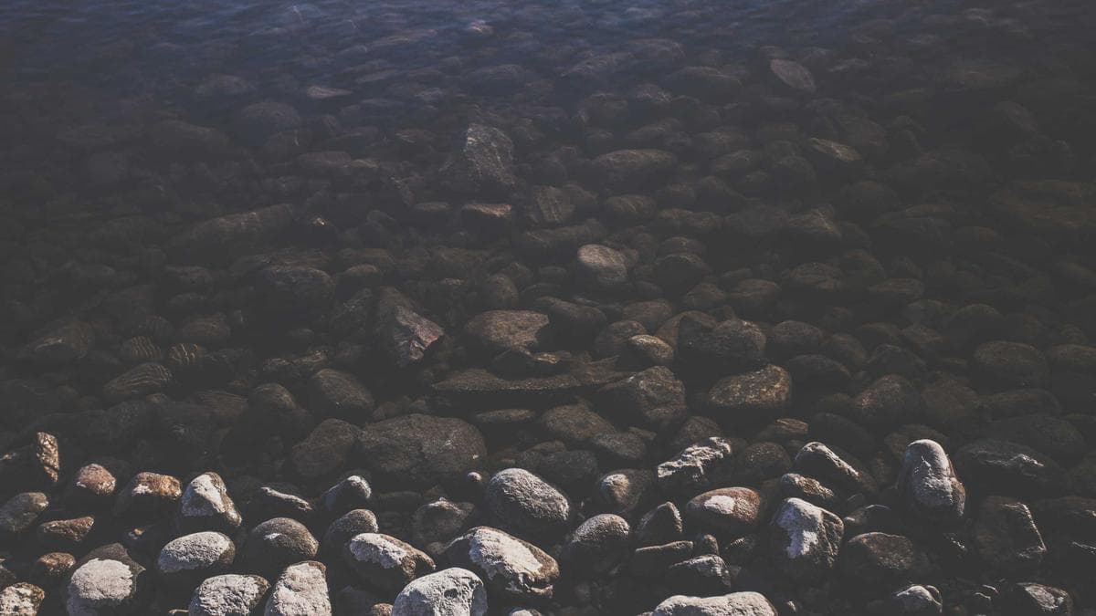 Property Management System