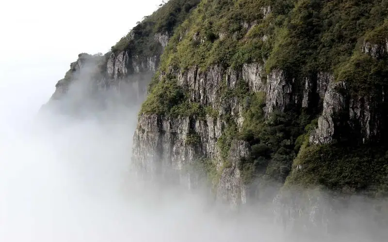 what is cloud based accounting software for small business